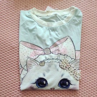 BIRU CAT 116