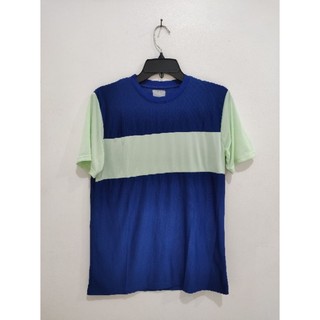 MELON BIRU 95