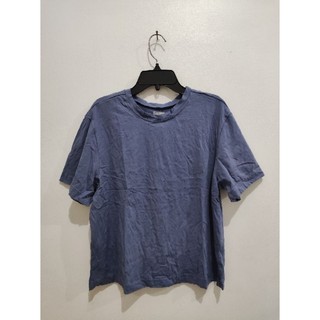 TARO POLOS 100