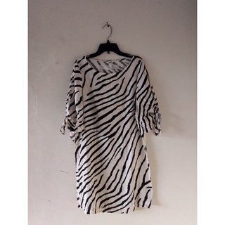 ZEBRA M/36: 96