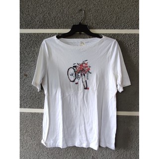 NODA POLOS 115