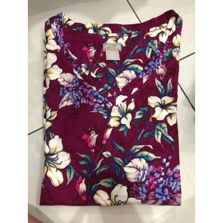 KENANGA 1-100cm