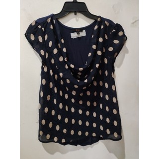 NAVY POLKA S-88
