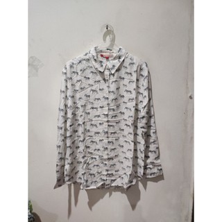 DEF ZEBRA 38-106