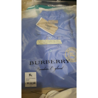 BIRU BERRY XL-120